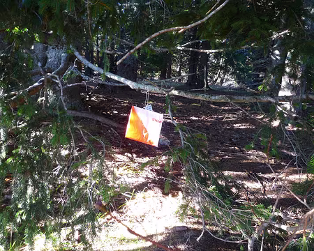 P1320154 La balise de Charande