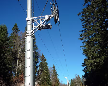 P1320164 J'avoue que celle-ci, elle nous gonfle un peu ... certains ont remonté la piste de ski pour la pointer ! Et Emmanuel a fait le déplacement exprès le dimanche...