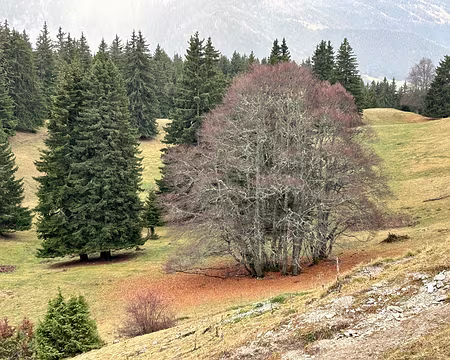 36-IMG_8756 Depuis le pas de Bellecomnbe