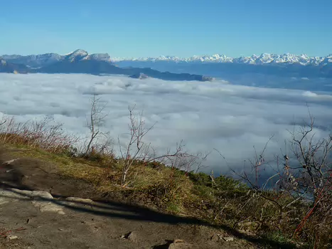 Bernadette Bernadette P, détail sortie