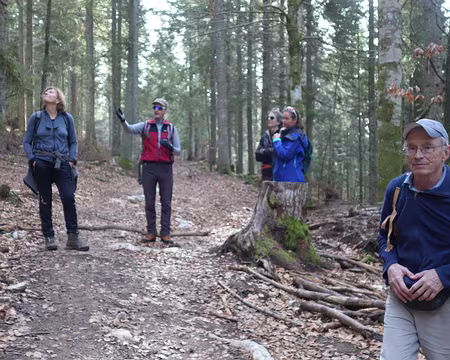 Un encadrant narrant l'histoire du sapin Bellier Un encadrant narrant l'histoire du sapin Bellier