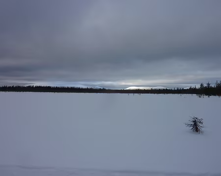 2024-02 Akäslompolo 06 Un rayon de soleil, enfin !