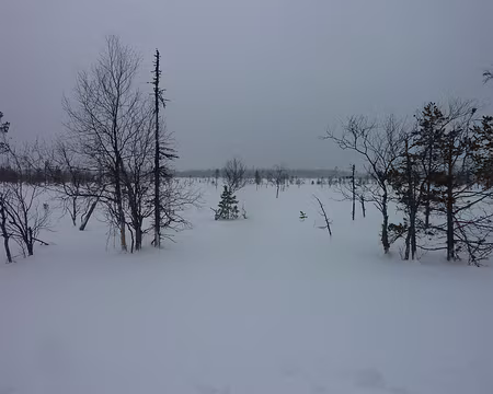 2024-02 Akäslompolo 22 Marécages en été ? Très certainement