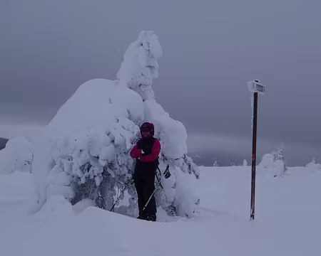 DSC02340 Une menace plane sur cette innocente skieuse