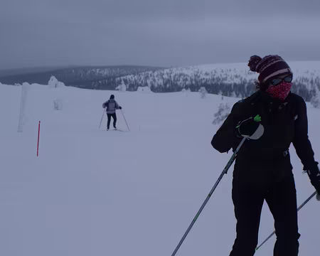 DSC02352 Un peu venteux quand même