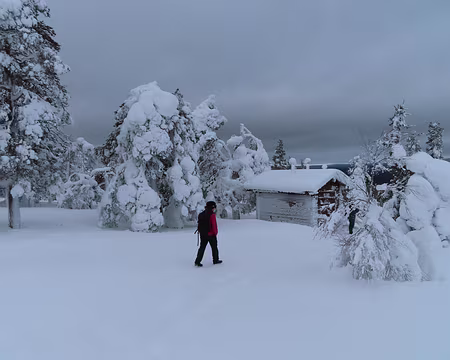 IMG_9870 Au petit sommet de Tahkokuru, les arbres sont bien blancs.