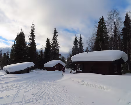 IMG_9883 Au lieu dit Tammitupa, on est plus bas, les arbres n'ont pas de neige.
