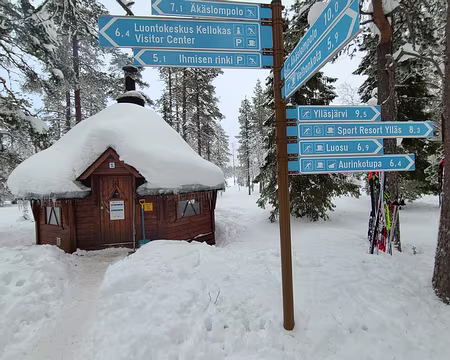 IMG_9929 Ville kamppa, la 