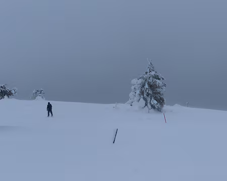 IMG_9988 Ce sommet est bien désolé...