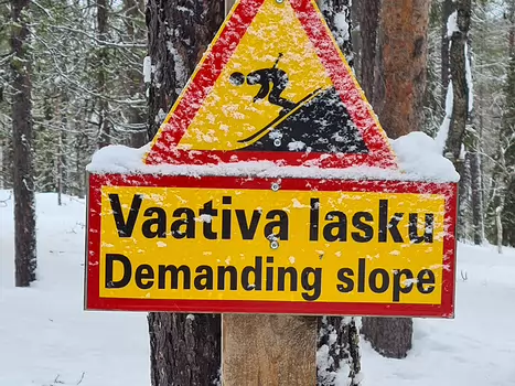 Claire Claire B, détail sortie