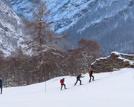 20241215153045_IMG_5925