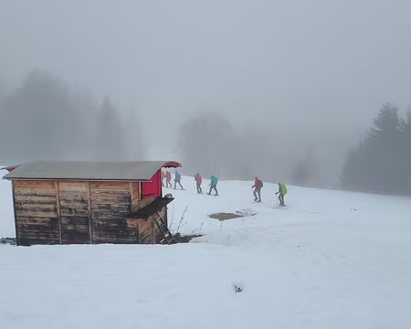 20250111_131339 Le groupe 