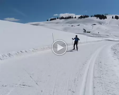 20260320_134705_MVI_9391