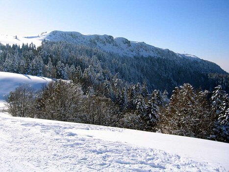 05-02 Massif central