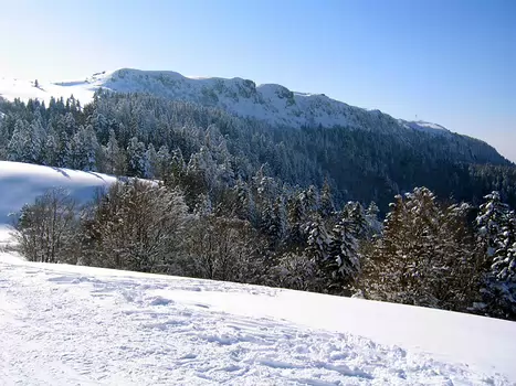 05-02 Massif central