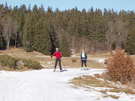 07-01 La Feclaz détail de la sortie