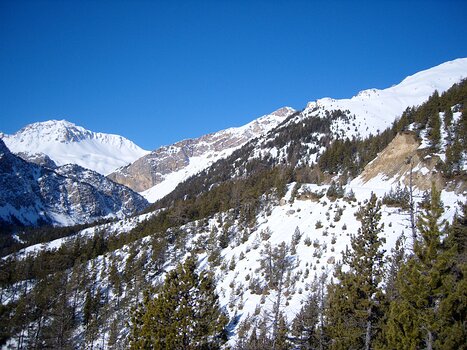 2008-12 Queyras détail de la sortie