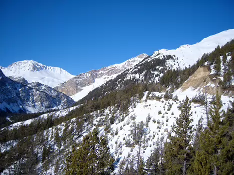 2008-12 Queyras détail de la sortie