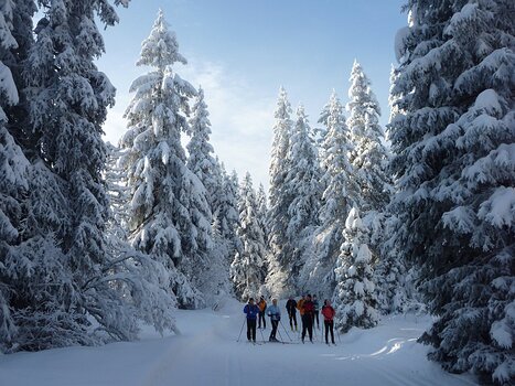 2010-01 La Feclaz détail de la sortie