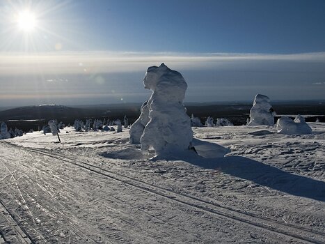 2010-03 Finlande détail de la sortie
