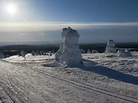 2010-03 Finlande détail de la sortie