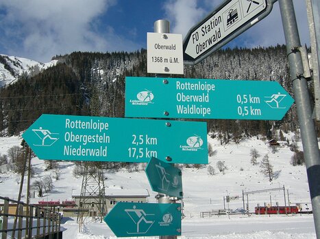 2010-12 Oberwald détail de la sortie