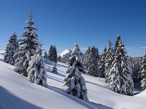 2013-02 La Pesse détail de la sortie