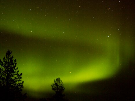 2013-03 Finlande détail de la sortie