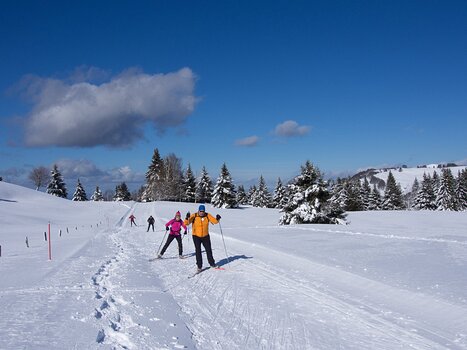 2014-02 La Feclaz détail de la sortie