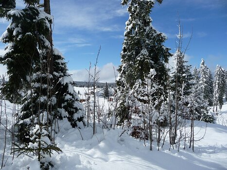 2016-02 Chapelle-des-Bois détail de la sortie