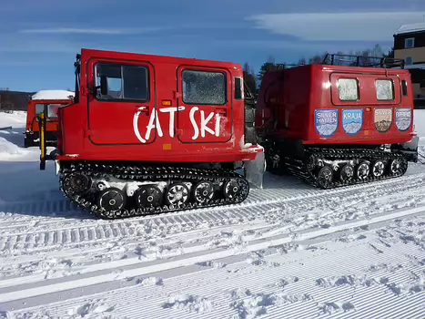 2016-02 Suède détail de la sortie