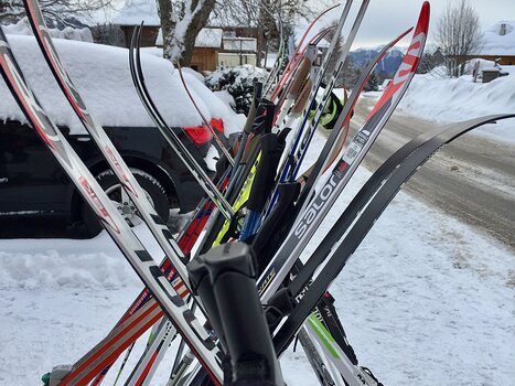 2018-01 La Féclaz détail de la sortie