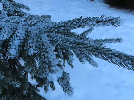 2025-12 Bessans Jean-Louis M, détail sortie