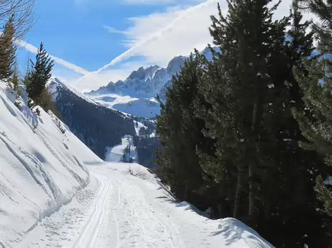 2026-02 Ceillac Jean-Louis M, détail sortie