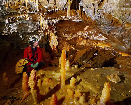 P1350933 traité - Copie