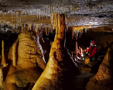 P1350949 traité - Copie