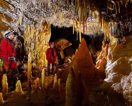 P1350953 traité - Copie