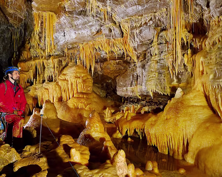 P1350957 traité - Copie