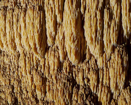 P1350969 traité - Copie