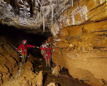 P1350990 traité - Copie