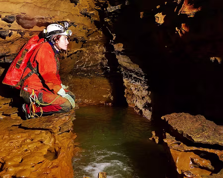 P1360054 traité - Copie