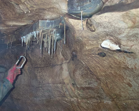 0006 CONCRÉTIONS - Rognons