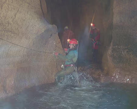 0010 Vire aquatique II