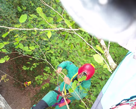 0015 Falaise en Côte d'Or I