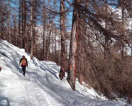 PXL008 Beau parcours varié