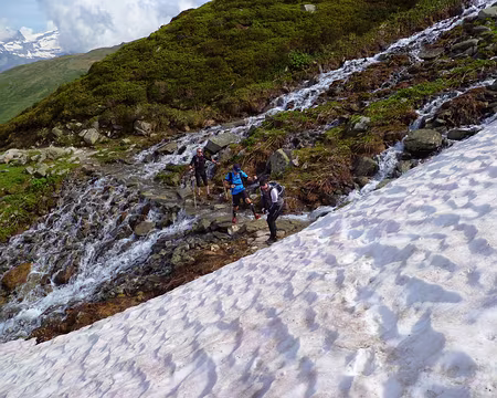 PXL005 C'est un animal joueur