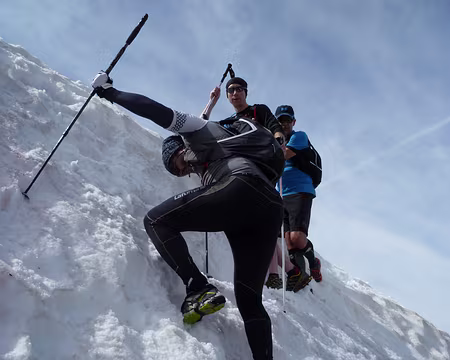 PXL007 ...présentant parfois des amorces de mutations vers l'espèce Alpiniste...