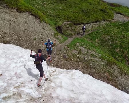 PXL008 sans néanmoins les appendices spécifiques de ce dernier.