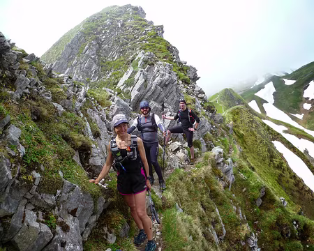 PXL011z2939 Dans sa phase 'Marcheur', il oublie de bousculer ses congénères pour aller plus vite.
