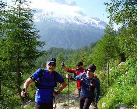 PXL024 Il est énergique et déterminé,